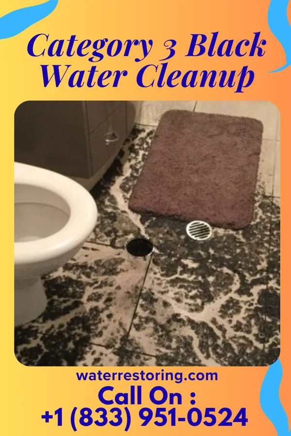 Category 3 Black Water Cleanup in Midway, OH