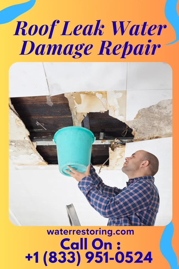 Roof Leak Water Damage Repair in Midway, OH