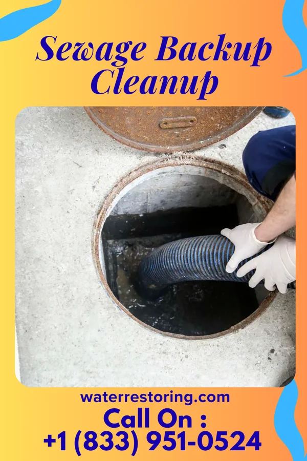 Sewage Backup Cleanup in Midway, OH