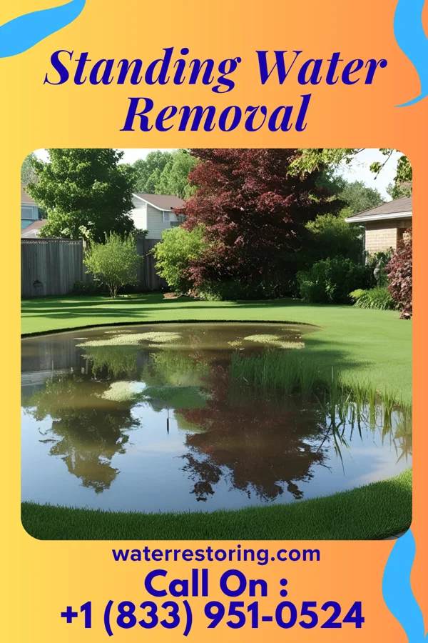 Standing Water Removal in Midway, OH